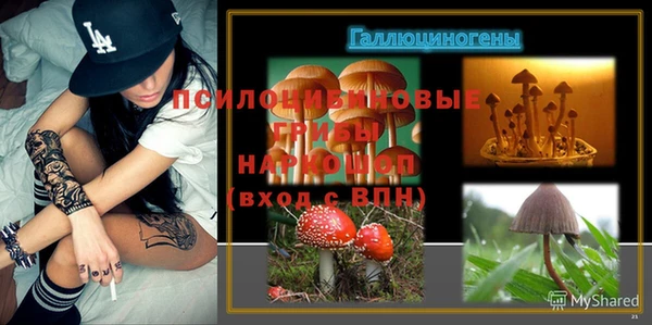 спиды Алексин