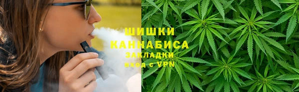 гидра Алексеевка