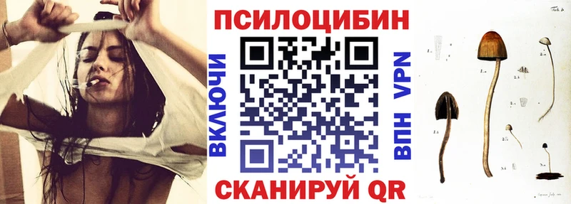 Галлюциногенные грибы Cubensis купить закладку Чаплыгин